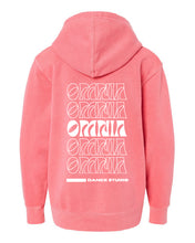 Load image into Gallery viewer, Onset/ Omnia Wavy Hoodie Youth